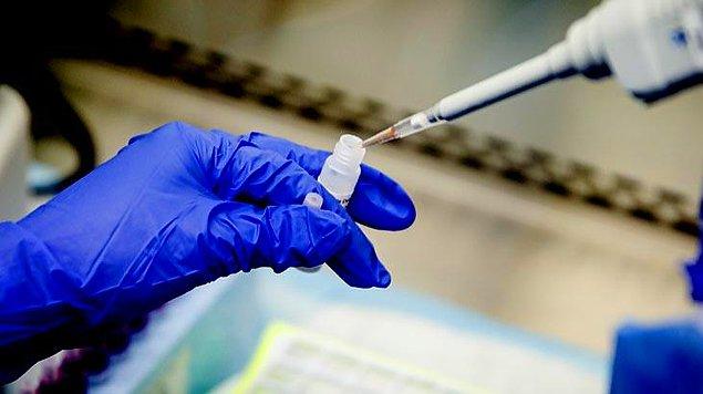 Oxford Üniversitesi Profesörü: "Koronavirüs aşısı 'Eylül'e kadar hazır olabilir"