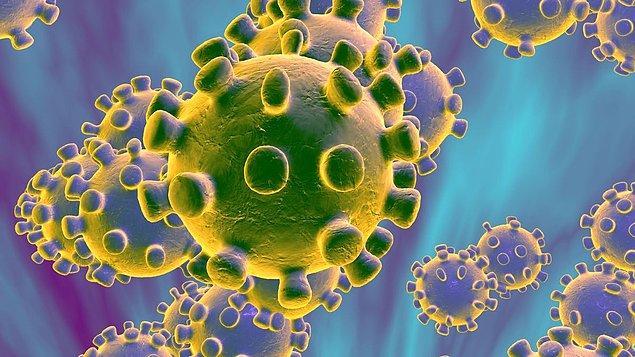 Koronavirüs tüm dünyanın gündemi haline geldi.