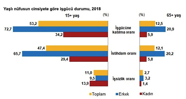 Yaşlı nüfusun işgücüne katılma oranı %12,5 oldu