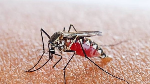 4. Было опубликовано исследование о влиянии препарата малярии на лечение Ковида-19