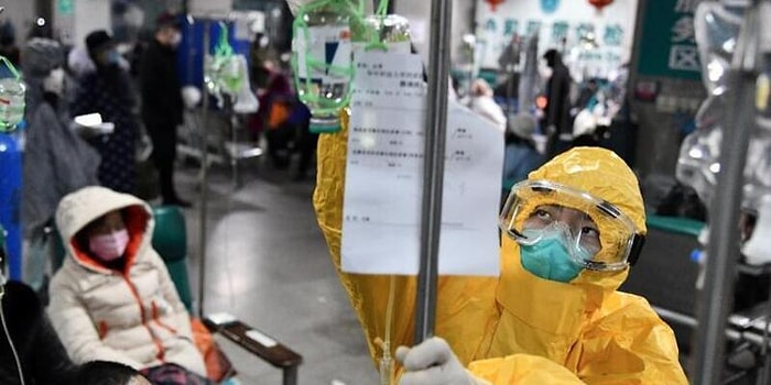 Позитивные новости, связанные с коронавирусом, которые хоть немного поднимут вам настроение