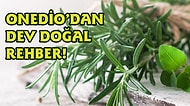 Doğanın Mucizevi Faydalarından Yararlanın! İşte Onedio'dan Dev Doğal Rehber