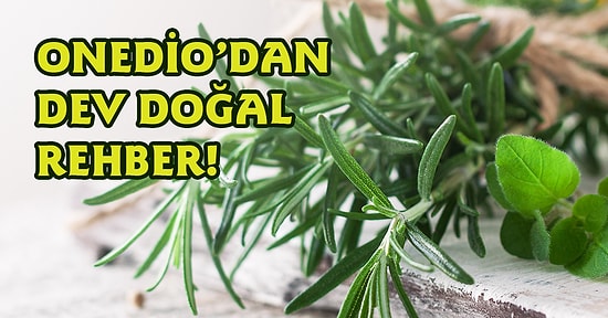 Doğanın Mucizevi Faydalarından Yararlanın! İşte Onedio'dan Dev Doğal Rehber