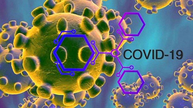 Son olarak 11 Şubat 2020'de Dünya Sağlık Örgütü (WHO) hastalığın resmi adını Covid-19 olarak ilan etti. Covid-19 aslında sadece hastalığı işaret ediyor bize. Co=Corona, Vi=Virüs ve D=Disease(hastalık)