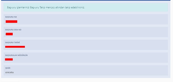 13. Başvuru Detayları