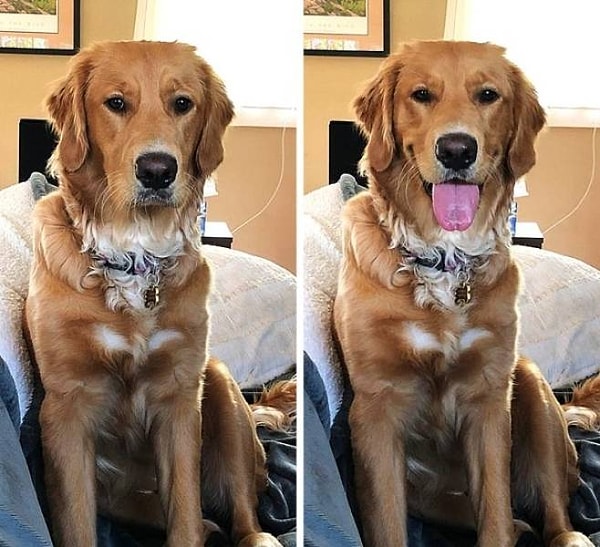 20. «До и после того, как ей сказали, что она хорошая девочка»