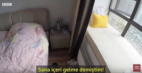 Kendisini odasına kapatan hemşire, yapımcı eşinin yanına gelmesini istemese de eşi, tulumlarını giyerek beslenmesine, temizliğine yardımcı oluyor.