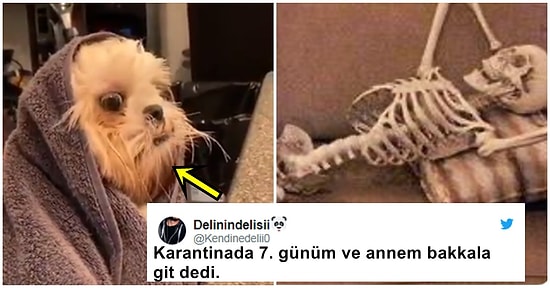 Karantina Altındayken Yaşadıkları Darlayıcı Süreci Birbirinden Eğlenceli Tweetlerle Paylaşan 19 Mizahşör