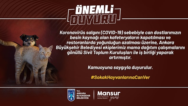 8. Başkan Yavaş bu süreçte sokakta kalan patili dostlarımızı da unutmadı: Gönüllü sivil toplum kuruluşlarıyla birlikte sokak hayvanlarına mama dağıtımı işlemi artırıldı.