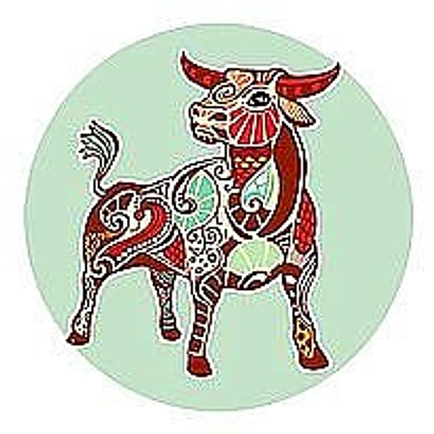 Boğa