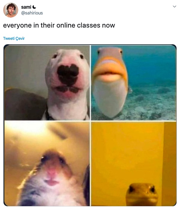 11. "Про онлайн-обучение"