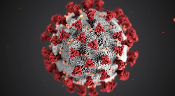 Многие из нас закрылись в своих домах из-за вспышки коронавируса, изолируя себя от внешнего мира. Хотя многим из нас дома скучно, некоторые из нас, похоже, проводят этот период как весело, так и творчески!