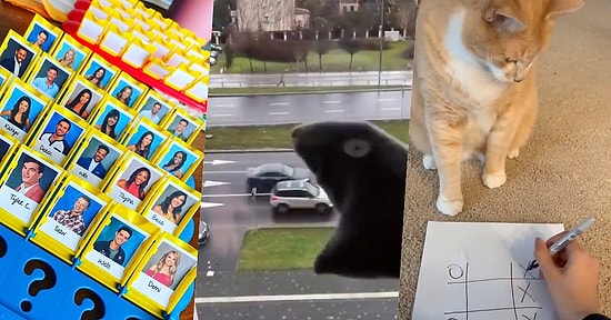 13 человек, которые научат вас не скучать, оставаясь дома во время карантина