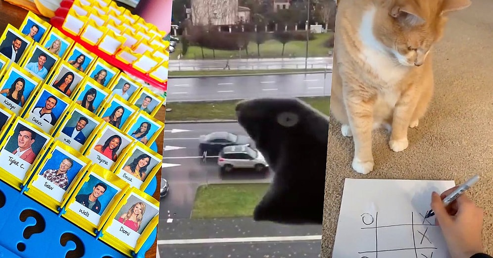 13 человек, которые научат вас не скучать, оставаясь дома во время карантина