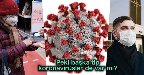 Koronavirüs Hakkında Yapmanız Gerekenleri ve Merak Ettiklerinizi Tek Tek Açıklıyoruz!