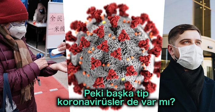 Koronavirüs Hakkında Yapmanız Gerekenleri ve Merak Ettiklerinizi Tek Tek Açıklıyoruz!