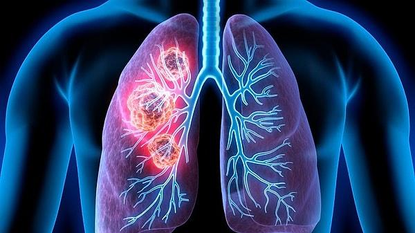 8. Akciğerlerde nefes hacmini artırır.