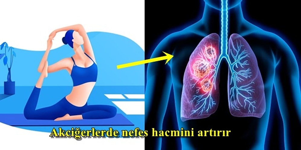 Karantina Döneminde Yogaya Başlamanızı Sağlayacak 16 Geçerli Neden