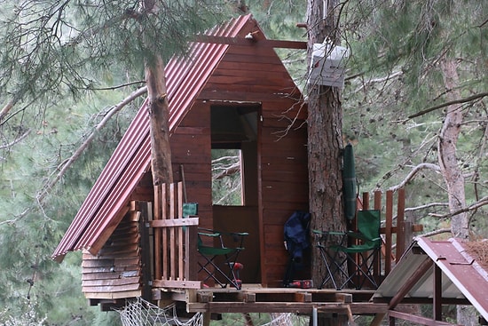 Manisa'da 3 Arkadaş Ağaç Üstüne Yaptıkları Evde Kendilerini Karantinaya Aldı: 'Tehlike Geçene Kadar Buradayız'