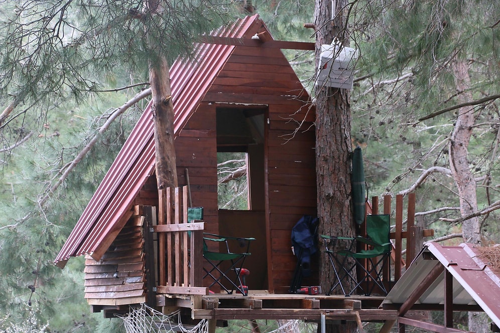 Manisa'da 3 Arkadaş Ağaç Üstüne Yaptıkları Evde Kendilerini Karantinaya Aldı: 'Tehlike Geçene Kadar Buradayız'