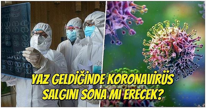 Bilim İnsanlarından Yeni Araştırma: Koronavirüs Salgını, Havaların Isınmasıyla Yok Olabilir mi?