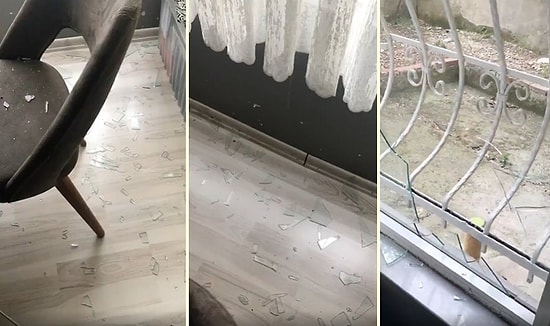 Damat Koronavirüs Pozitif Çıkınca, Düğündeki Herkesin Karantinaya Alınmasını İstedi Diye Evi Basılıp Camları İndirildi