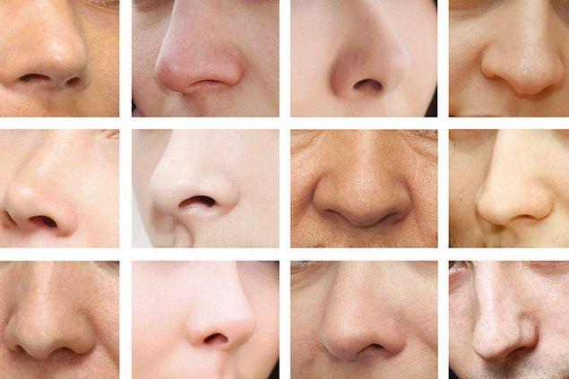 4. Aslında burnunuzu sürekli görürsünüz ama aklınız algıda seçicilik yoluyla onu görmezden gelir.