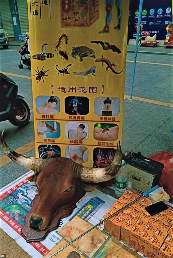 Çin'in güneybatısındaki Guilin kentindeki bir başka muhabir de, yarasaların, yılanların, örümceklerin ve akreplerin hastalıklara şifa niyetiyle satıldığı bir mağazanın reklam pankartının fotoğrafını çekti. 👇