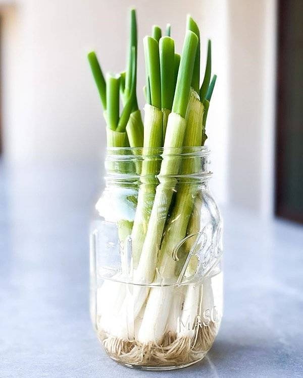 8. Зеленый лук