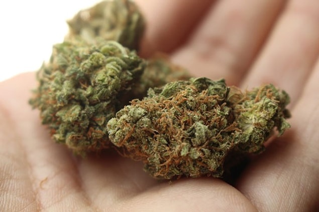 Dilipak 'THC ve CBD konusundaki talepler görmezden geliniyor' diyerek yazısını şöyle sürdürdü 👇