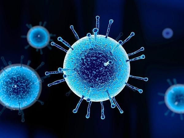 16. Bazı viral virüsler iyidir: Kimi annenizin karnındayken onun bağışıklık sistemi tarafından yok edilmenizi engellemiş olabilir.