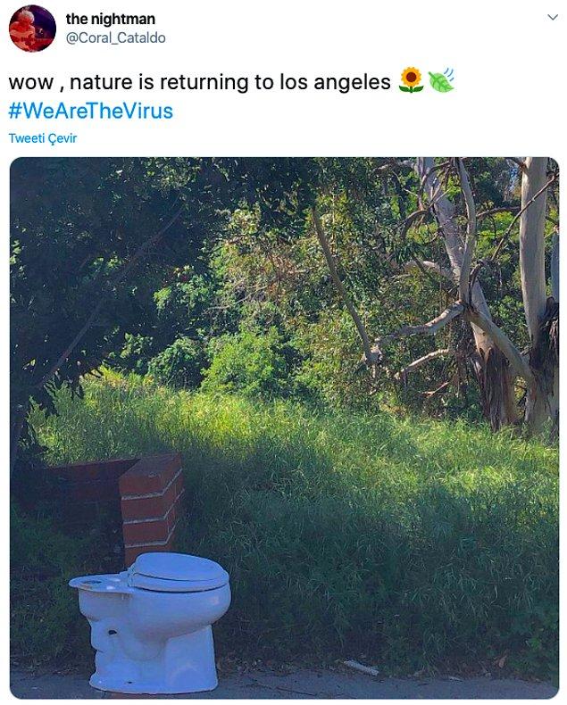 11. "Doğa Los Angeles'a geri dönüyor."