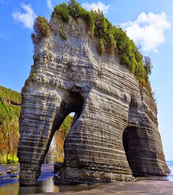 3. Yeni Zelenda'daki Fil kayası