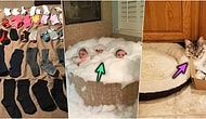 Tek Eksiğimiz Buydu! Günlük Hayatta Çoğumuzun Başına Gelen Birbirinden Can Sıkıcı 19 Durum