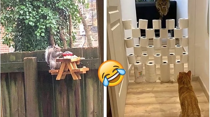 24 человека, которые проводят время на карантине с явно большей пользой, чем вы