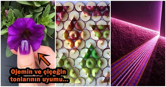 Pürüzsüzlükleriyle Birlikte Obsesiflik Konusunda Master Yapmış Kişileri Bile Memnun Eden 16 Kusursuz Uyum