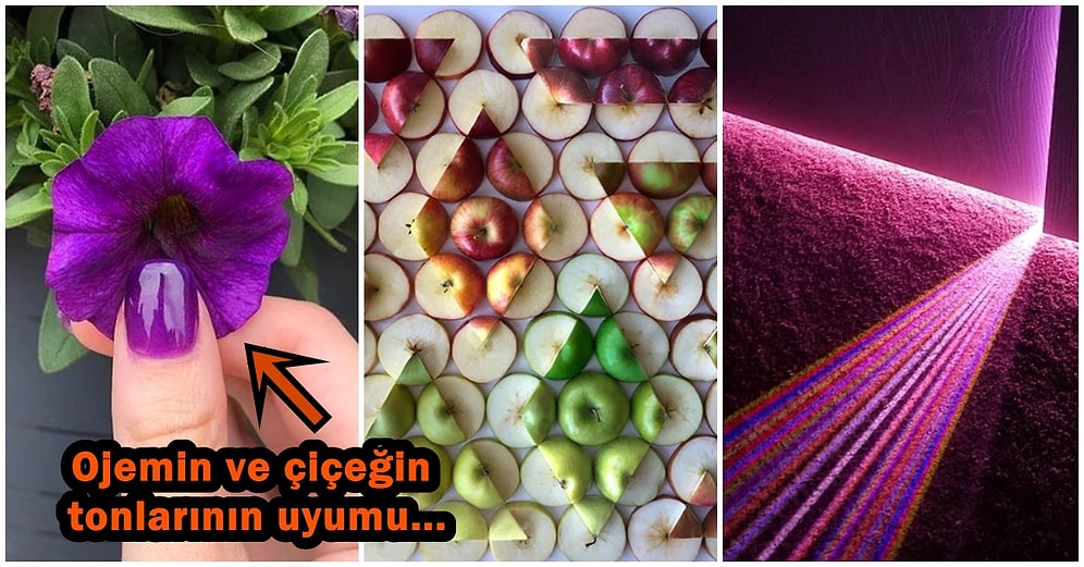 Pürüzsüzlükleriyle Birlikte Obsesiflik Konusunda Master Yapmış Kişileri Bile Memnun Eden 16 Kusursuz Uyum