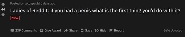 Reddit'te bir kullanıcı kadınlara penisleri olsa ilk ne yapacaklarını sordu, biz de sizler için gelen cevapları derledik.