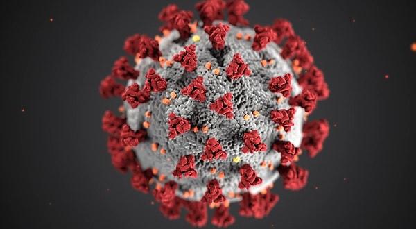 Ocak ayının sonları ve Şubat ayının başlangıcı itibariyle Çin'de yayılmaya başlayan Koronavirüs vakaları, Dünya Sağlık Örgütü'ne göre 'asemptomatik' olarak oldukça az rastlanmıştı.
