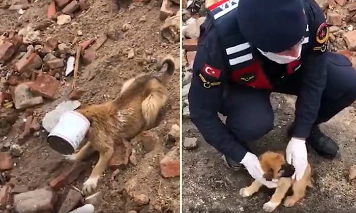 Kafası Konserve Kutusuna Sıkışan Yavru Köpeği Kurtaran Güzel İnsanlar