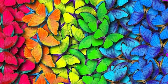 8 Soruda Auranın Ne Renk Olduğunu Söylüyoruz!