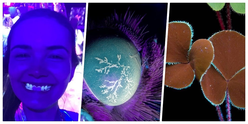 Ultraviyole Işınlarının Bildiğimiz Görüntüleri Bambaşka Güzelliklere Çevirdiğini Gösteren 15 Fotoğraf