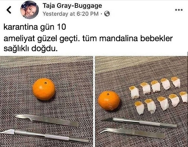 12. Başarılı bir operasyon.