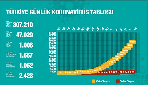 Sıhhat Bakanı Koca: '2 Bin 423 Hastamız Güzelleşerek Taburcu Edildi'