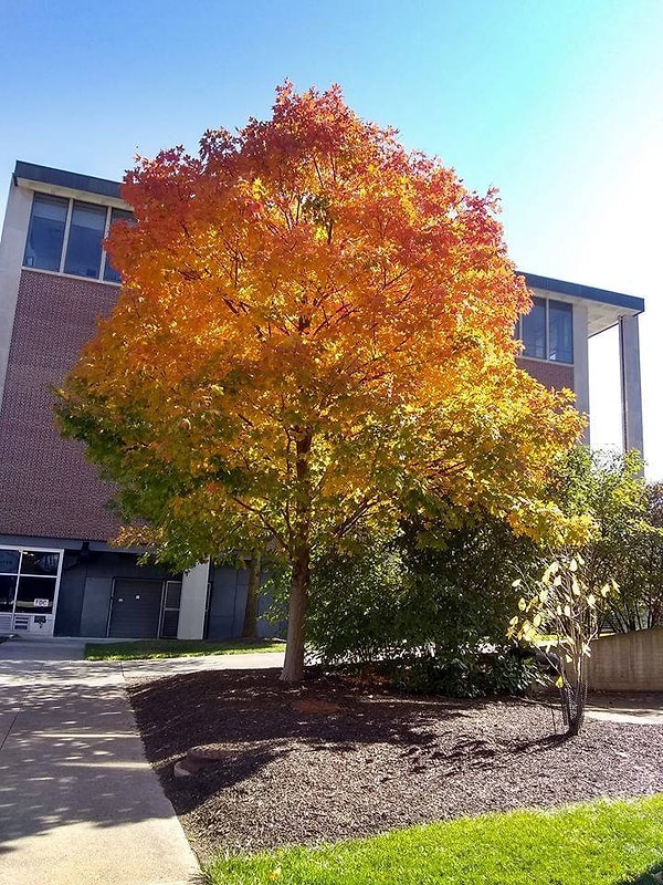 14. И еще несколько удивительных фотографий: