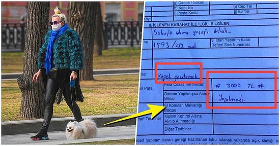 Hayvan Sahipleri Dikkat! Sokağa Çıkma Yasağı Boyunca Köpek Gezdirmenin Cezası 3000 TL'ye Kadar Çıkabiliyor