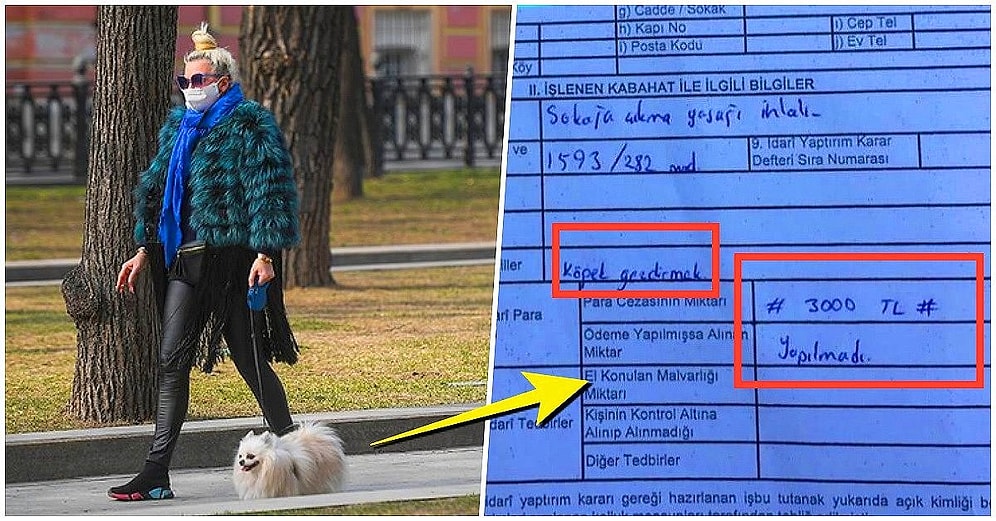 Hayvan Sahipleri Dikkat! Sokağa Çıkma Yasağı Boyunca Köpek Gezdirmenin Cezası 3000 TL'ye Kadar Çıkabiliyor