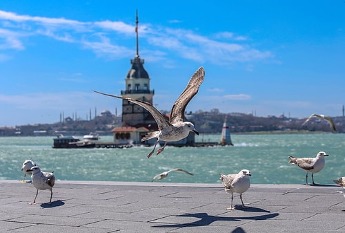 48 Saatlik Sokağa Çıkma Yasağı Sona Erdi: Şimdi Ne Olacak?