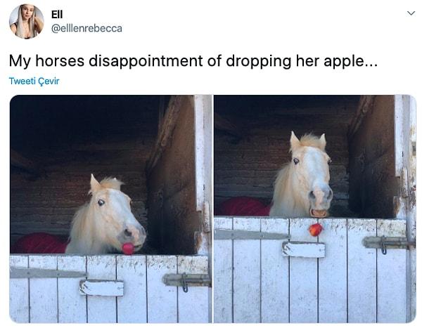 4. "Elmasını düşüren atımın hayal kırıklığı"