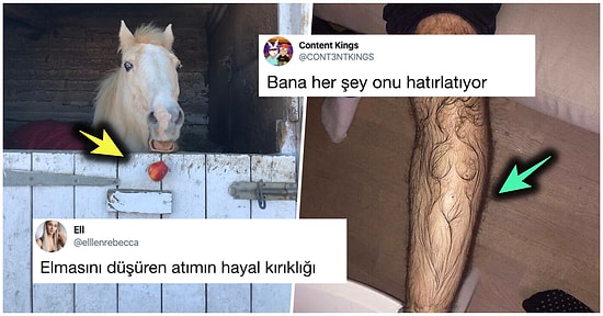 Denizaşırı Mizahta Bu Hafta: Son Günlerde Yabancıları Kahkahaya Boğmuş 15 Komik Tweet